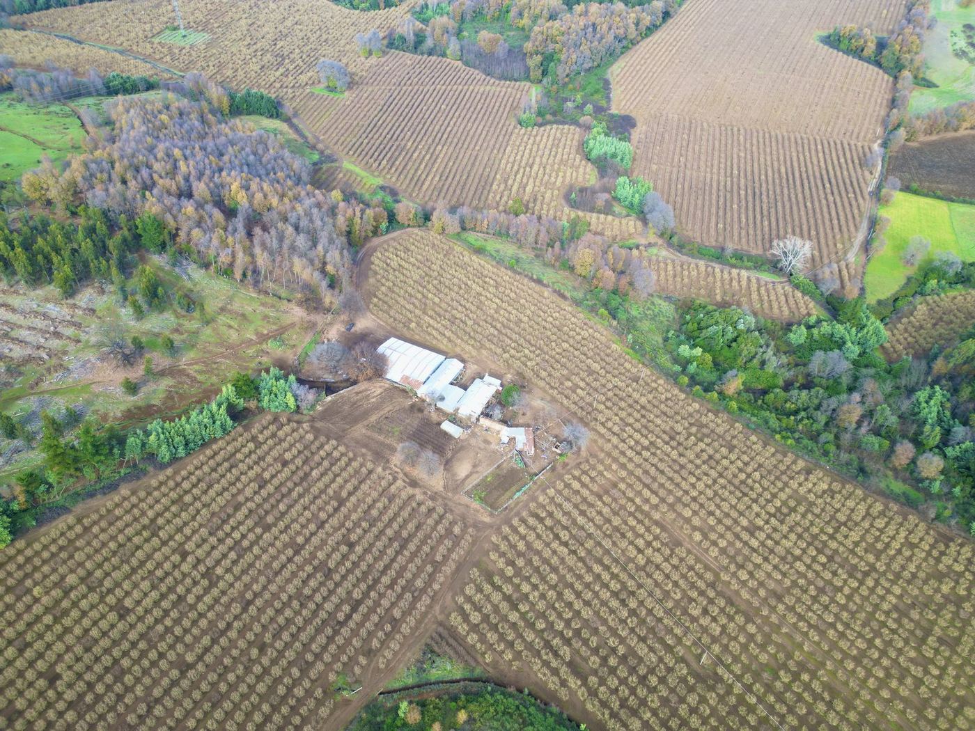 Captura aérea de campo en Ñuble realizada con dron